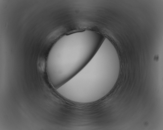 X0000092070076200710101028