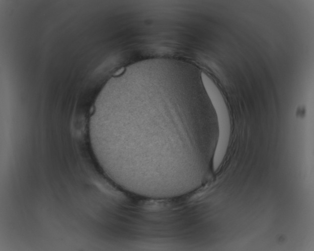 X0000092070077200710101028