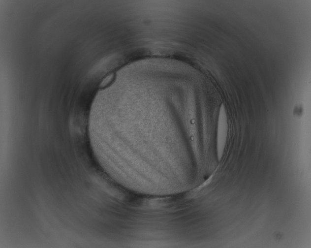 X0000092070078200710101028