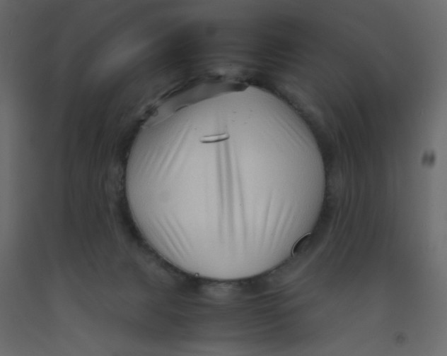 X0000092070079200710101028