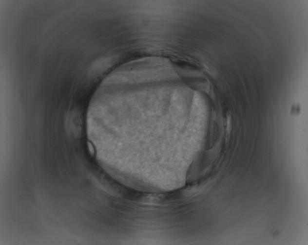 X0000092070080200710101028
