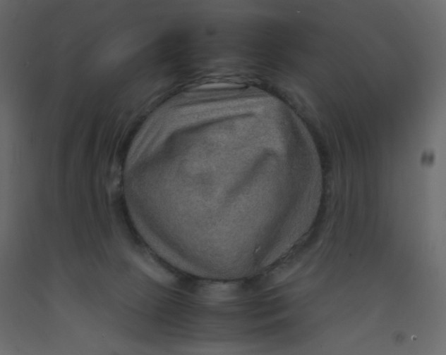 X0000092070081200710101028