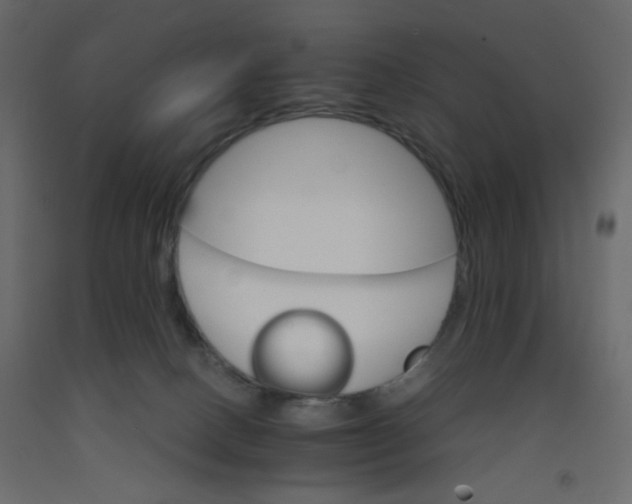 X0000092070082200710101028
