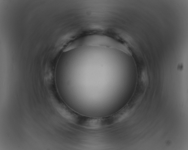 X0000092070084200710101028