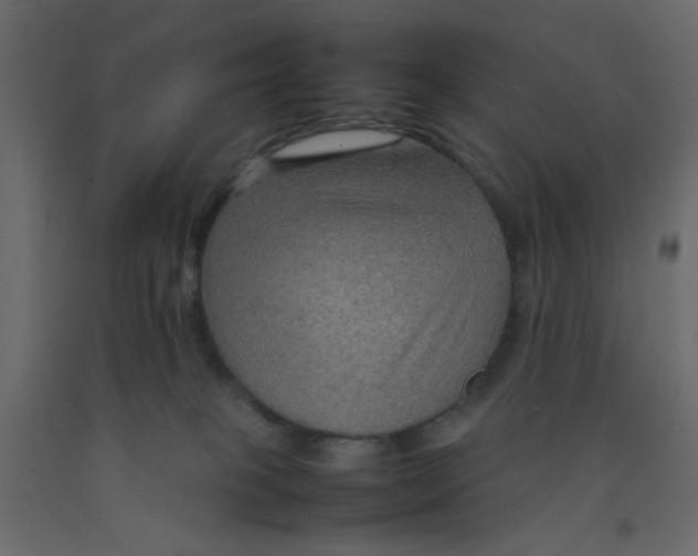 X0000092070085200710101028