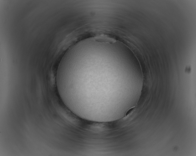 X0000092070086200710101028