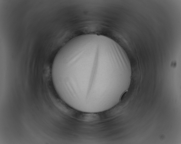 X0000092070087200710101028