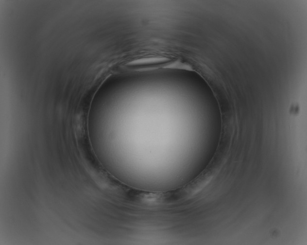 X0000092070088200710101028
