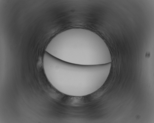 X0000092070089200710101028