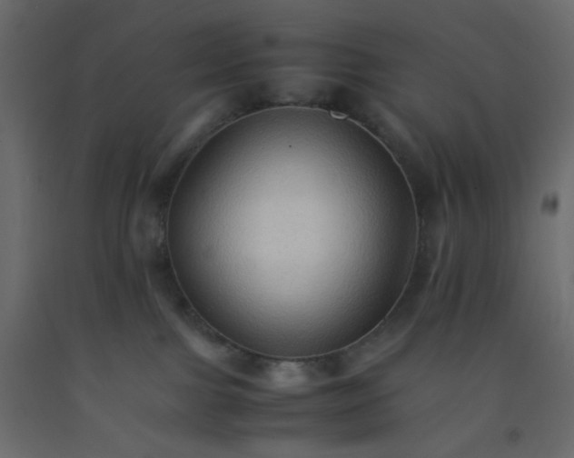 X0000092070091200710101028