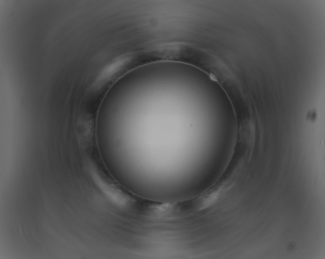 X0000092070092200710101028