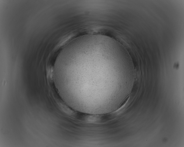 X0000092070094200710101028