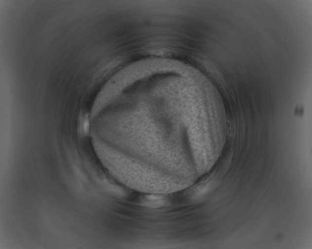 X0000092070095200710101028