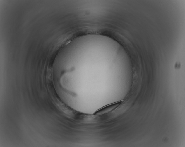 X0000092070096200710101028