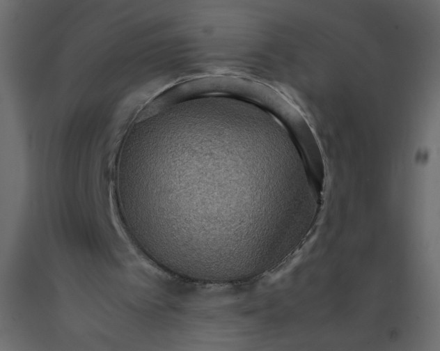 X0000092070097200710101028
