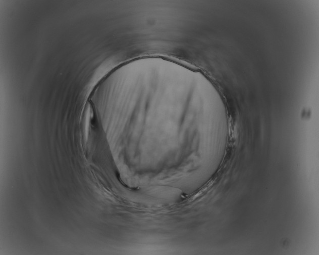 X0000092070099200710101028