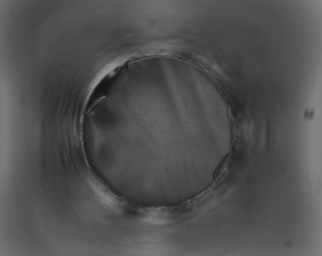 X0000092070100200710101028