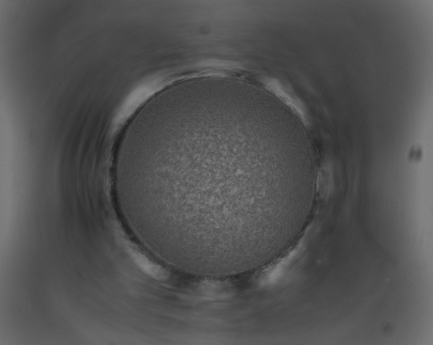 X0000092070101200710101028