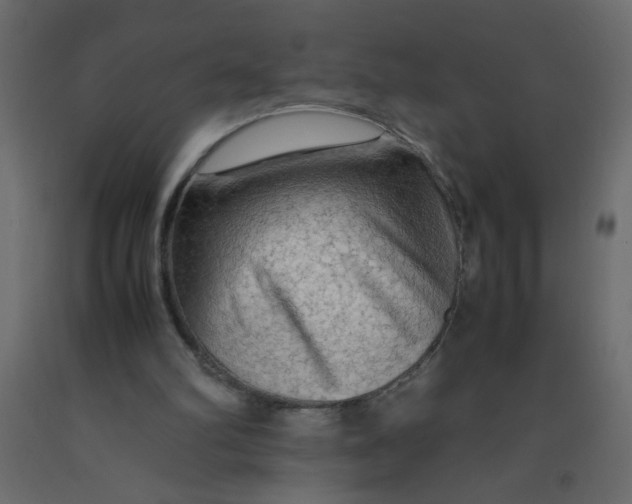 X0000092070102200710101028
