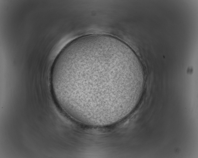 X0000092070103200710101028