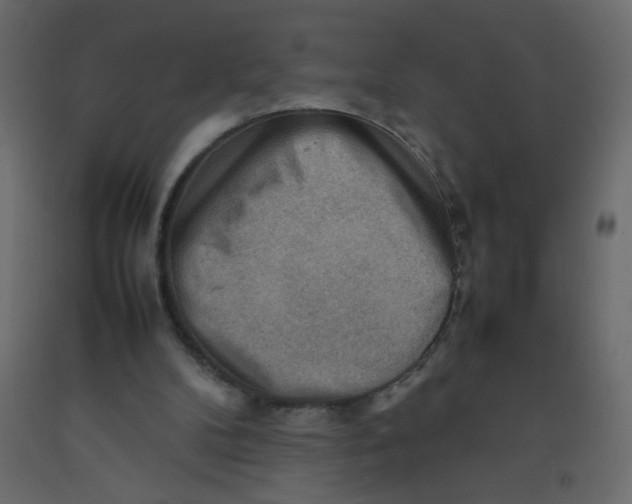 X0000092070104200710101028