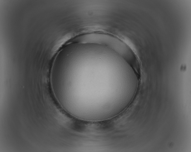 X0000092070105200710101027