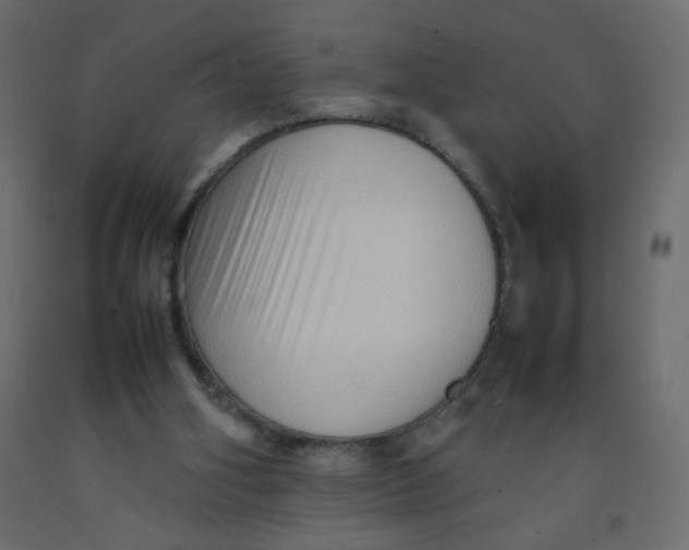 X0000092070106200710101027