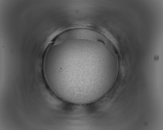 X0000092070107200710101027