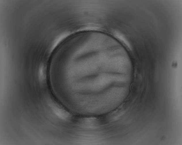 X0000092070108200710101027