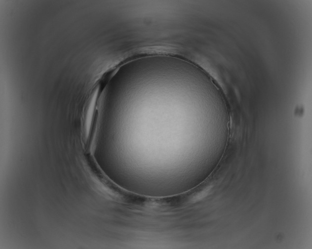 X0000092070109200710101027