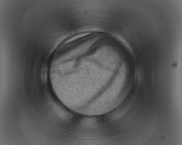 X0000092070110200710101027