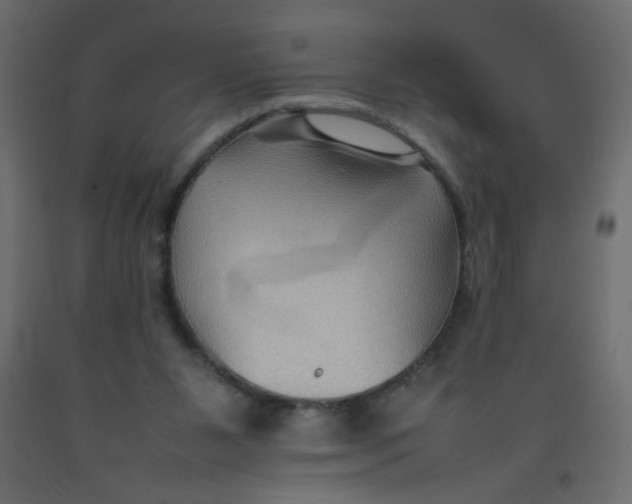 X0000092070111200710101027