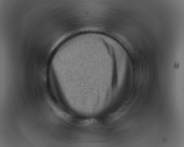 X0000092070112200710101027