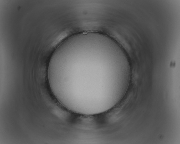 X0000092070113200710101027