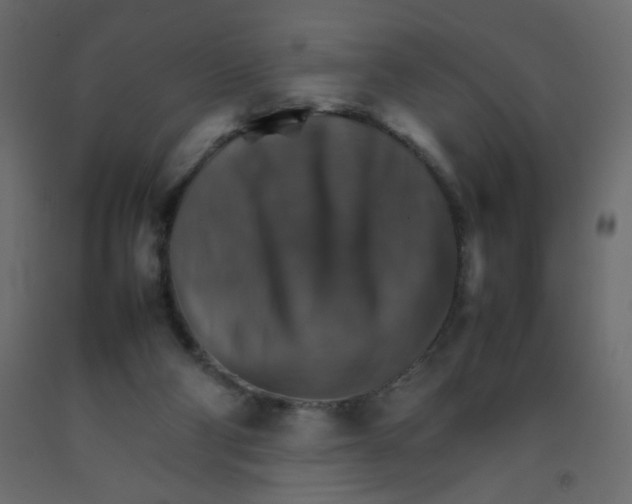 X0000092070114200710101027