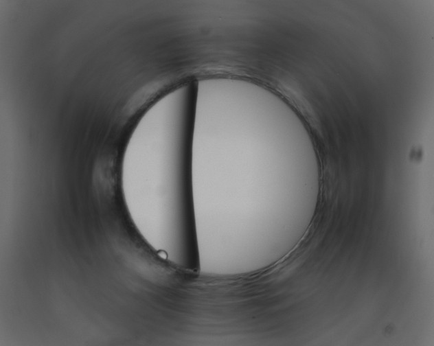 X0000092070116200710101027