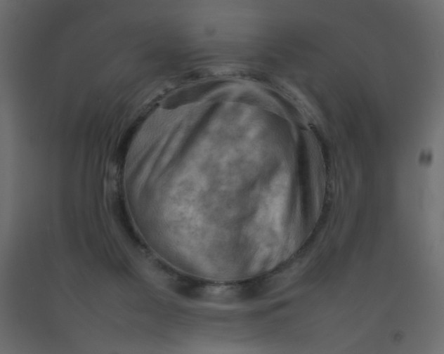 X0000092070117200710101027