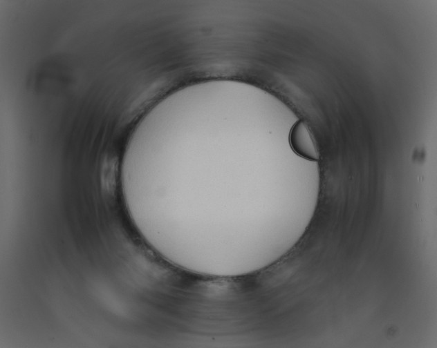 X0000092070118200710101027