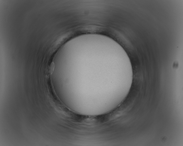 X0000092070119200710101027