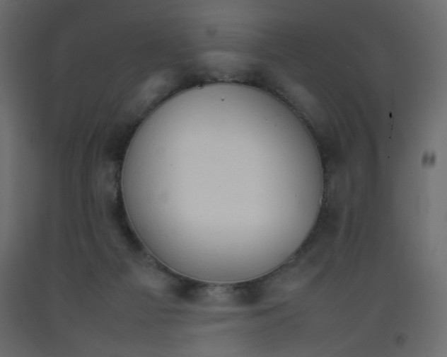 X0000092070121200710101027