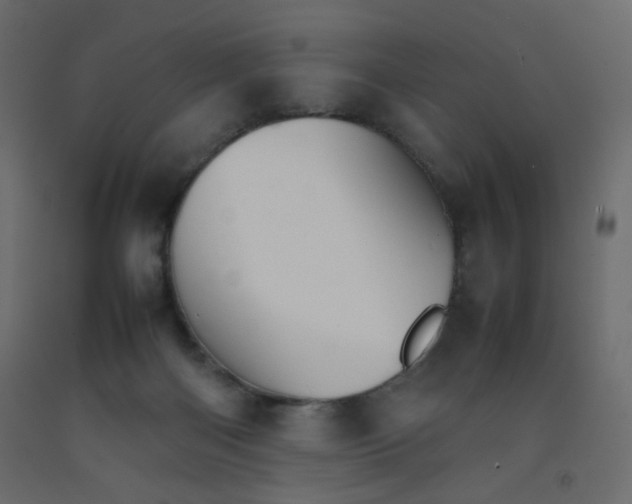 X0000092070122200710101027