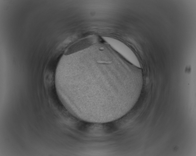 X0000092070123200710101027