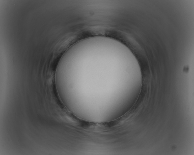 X0000092070125200710101027