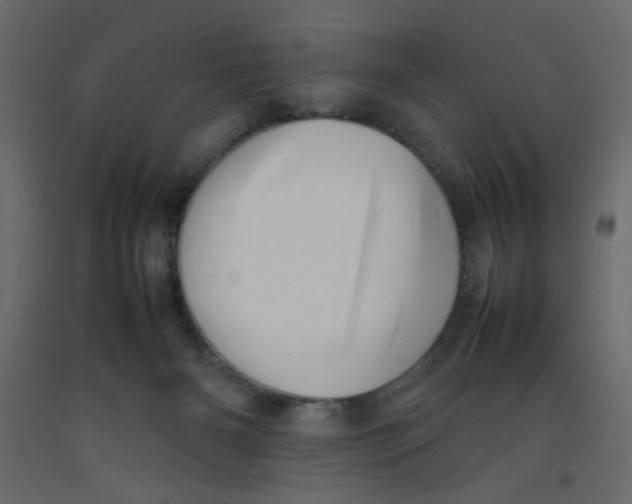 X0000092070126200710101027