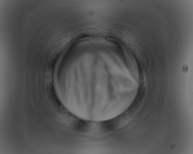 X0000092070127200710101027