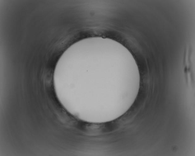 X0000092070129200710101027