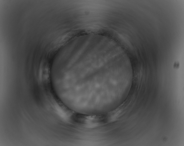 X0000092070130200710101027
