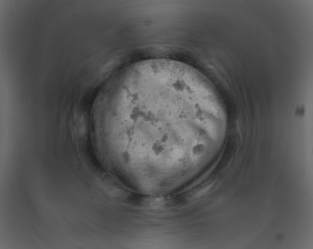 X0000092070131200710101027