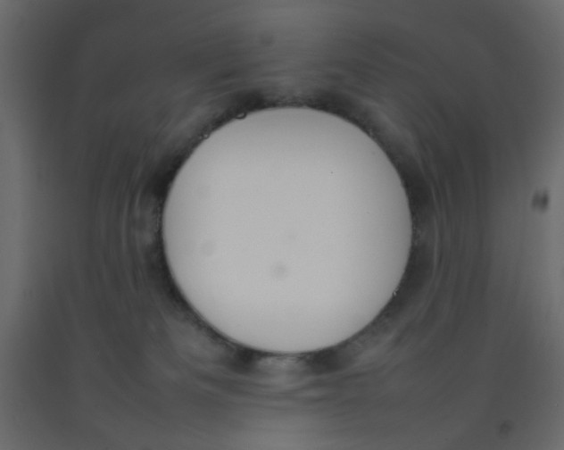 X0000092070133200710101027