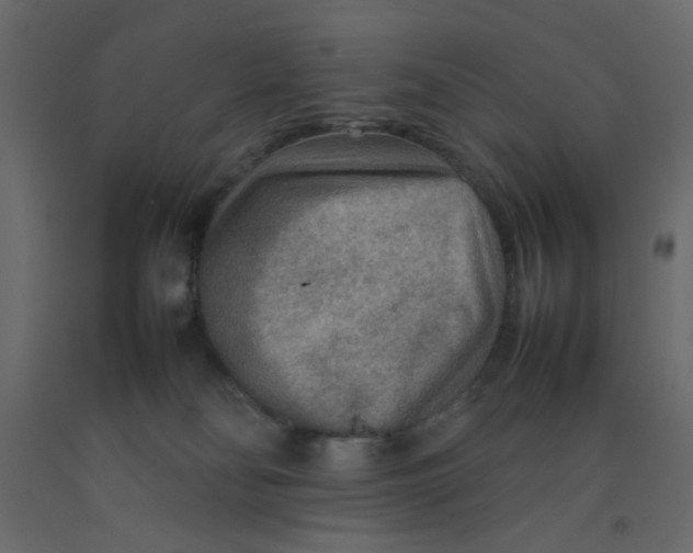X0000092070134200710101027